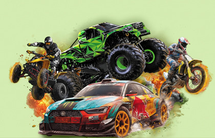 Шоу каскадеров