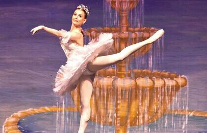 Спящая красавица