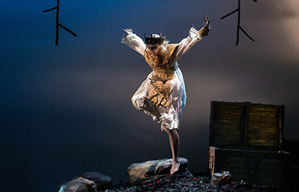 Белая уточка