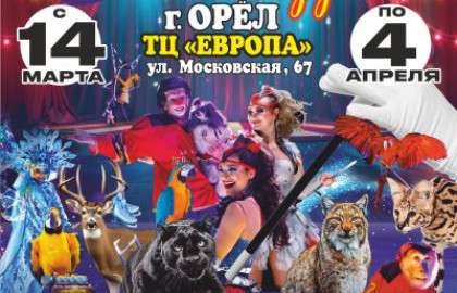 Цирк на льду