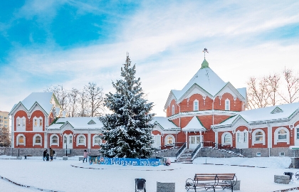 В гостях у Елочки
