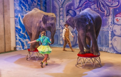 Scene from «Зимняя сказка»