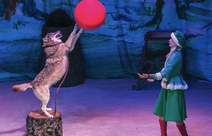 По следам Снежной Королевы