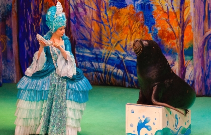 История хрустальной туфельки