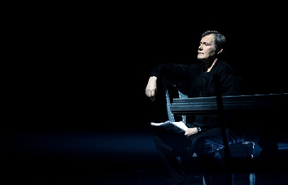 Scene from «Как растут ананасы»