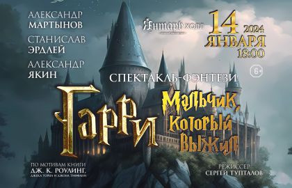 Cцена из «Гарри – Мальчик, который выжил»