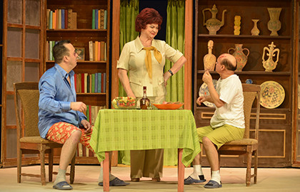 Не жена, а дьявол