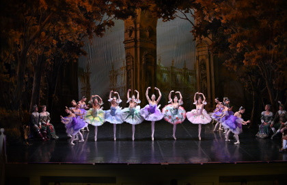 Scene from «Спящая красавица («Санкт-Петербургский Балет»)»