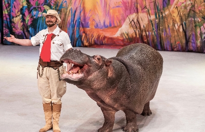 По следам Снежной Королевы