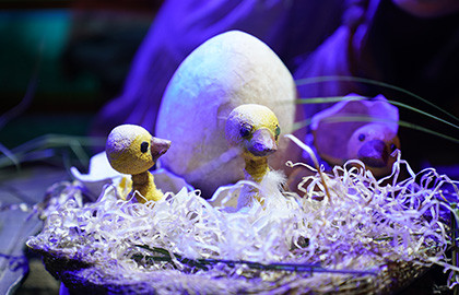 Гадкий утенок