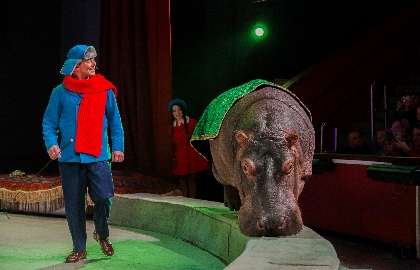 Полёт в страну мечты