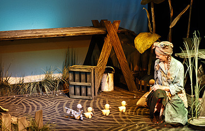 Гадкий утенок