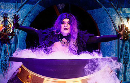 Ледяное сердце: Легенды нового года