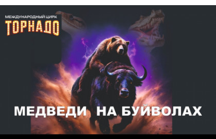 Цирк Торнадо