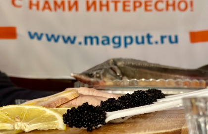 Черная икра  черное золото России