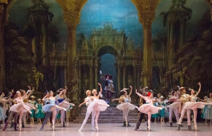 Cцена из «Спящая красавица»