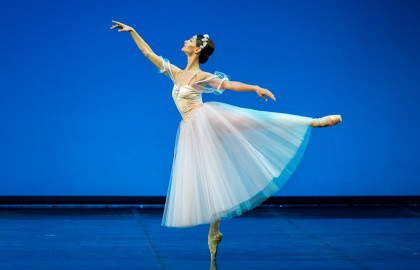 5d2dd314b7cc95daa58c73bd5a1dea66 кассы кремлевского дворца телефон