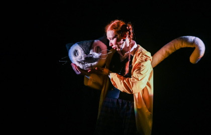 Cцена из «Страна чудес Алисы»