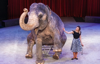 Необыкновенное путешествие