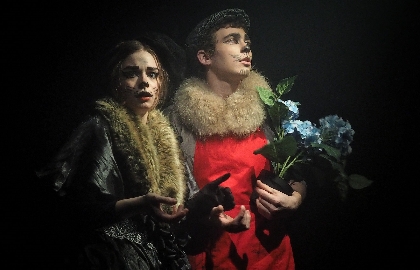 Cцена из «Кошкин дом»