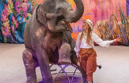 По следам Снежной Королевы