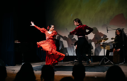 Танцевальное шоу. Фламенко Андалусии