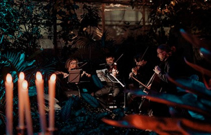 Магия свечей. «От Вивальди до Jingle Bells»