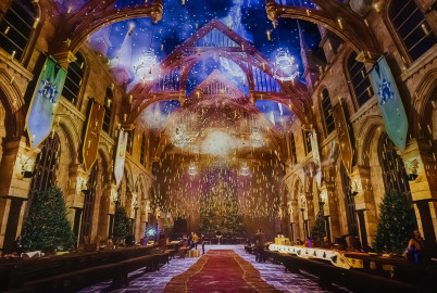 Гарри Поттер