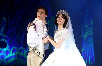 Белоснежка и 7 гномов