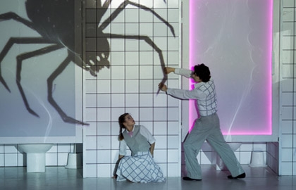 Принцесса и Пьер