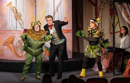 Музыкальный магазинчик Феи Динь-динь