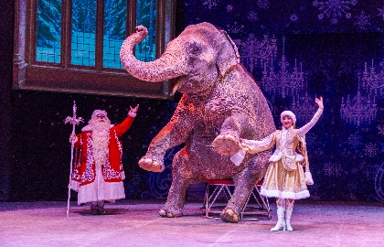 Полёт в страну мечты