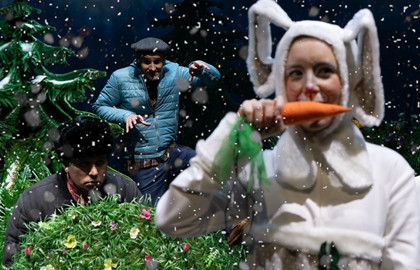 Новогодние подснежники