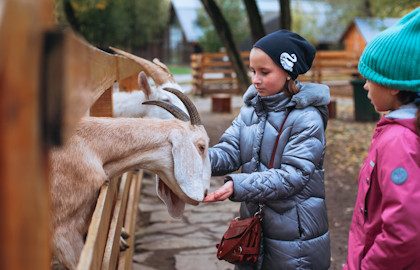 Городская ферма на ВДНХ