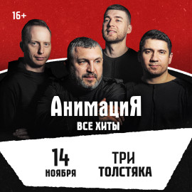 Костя Кулясов и группа «АнимациЯ»