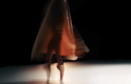 Nikola Melnikov Music For Flowers 2.0