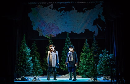 Бенгальские огни