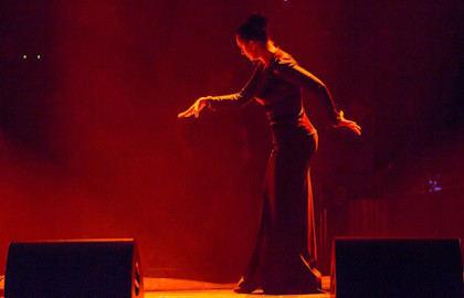 Елена Ваенга