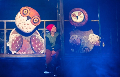 Путешествие Нильса с дикими гусями