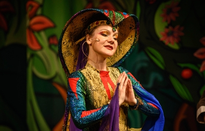 Сокровища волшебного леса