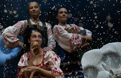 Новогодние подснежники