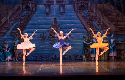 Балет детский "Спящая красавица"