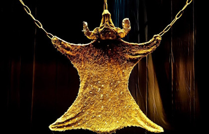 Золотое руно