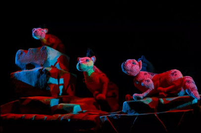 Рикки-Тикки-Тави (г. Омск)