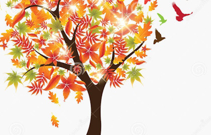 Кот Котофеич и Чудо дерево