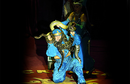 Московский цирк-шапито "Кудзинов"