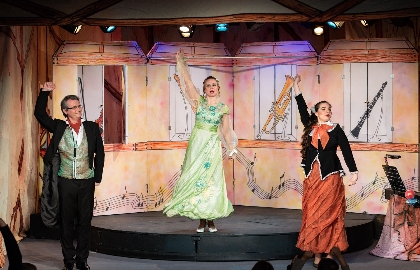 Музыкальный магазинчик Феи Динь-динь