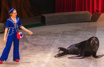 Дорога – длиною в век