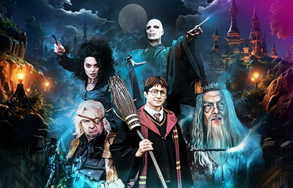 Гарри Поттер: Турнир трёх волшебников