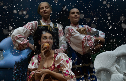 Новогодние подснежники